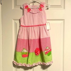 Girls size 6 Emily Rose dress Pink and Green NWT